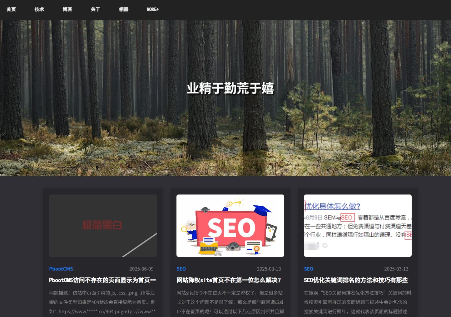 极简黑白博客网